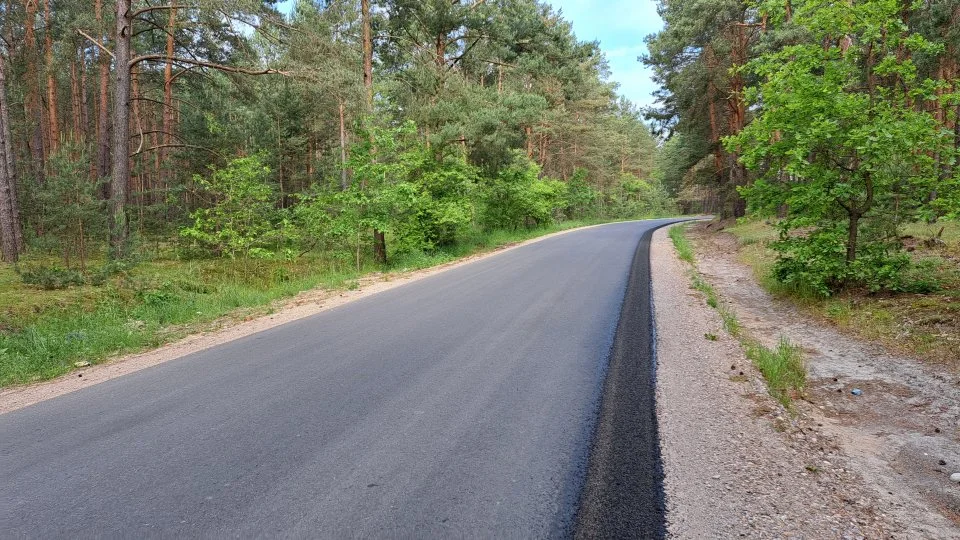 Droga pomiędzy Łęcznem a Kłudzicami