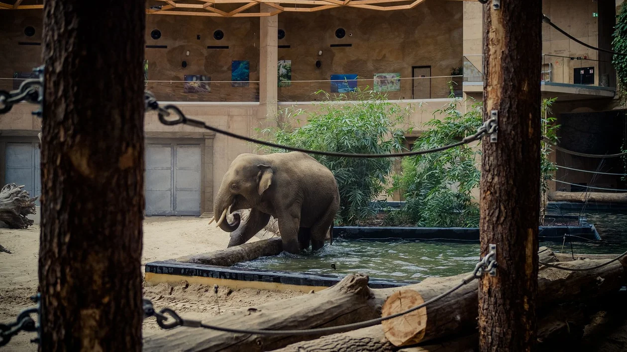 Orientarium ZOO Łódź