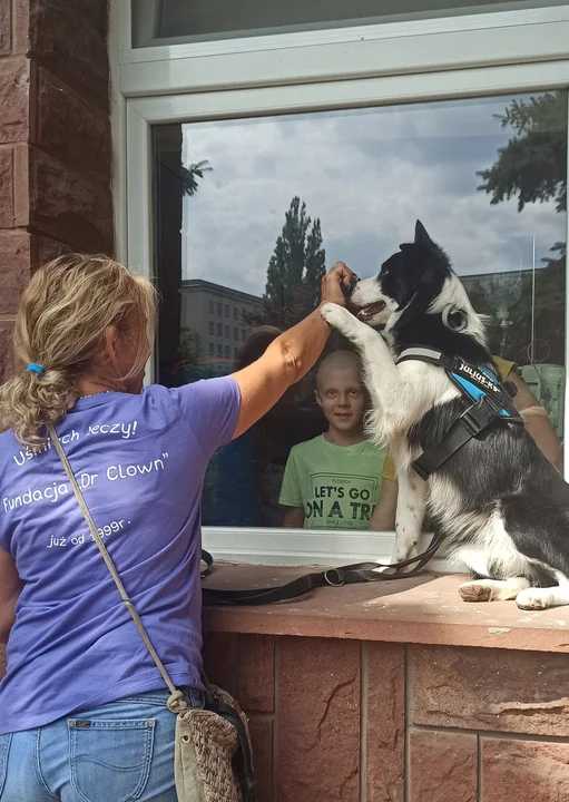 Ogólnopolski program dogoterapii działa już od 5 lat!