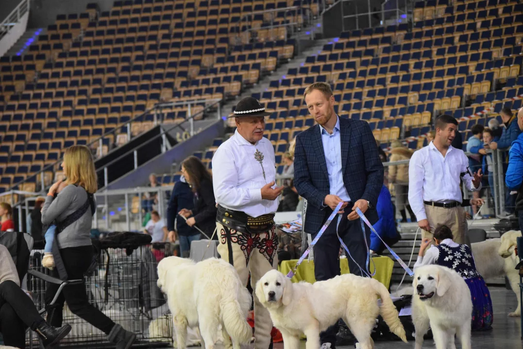 Wystawa psów w Atlas Arenie