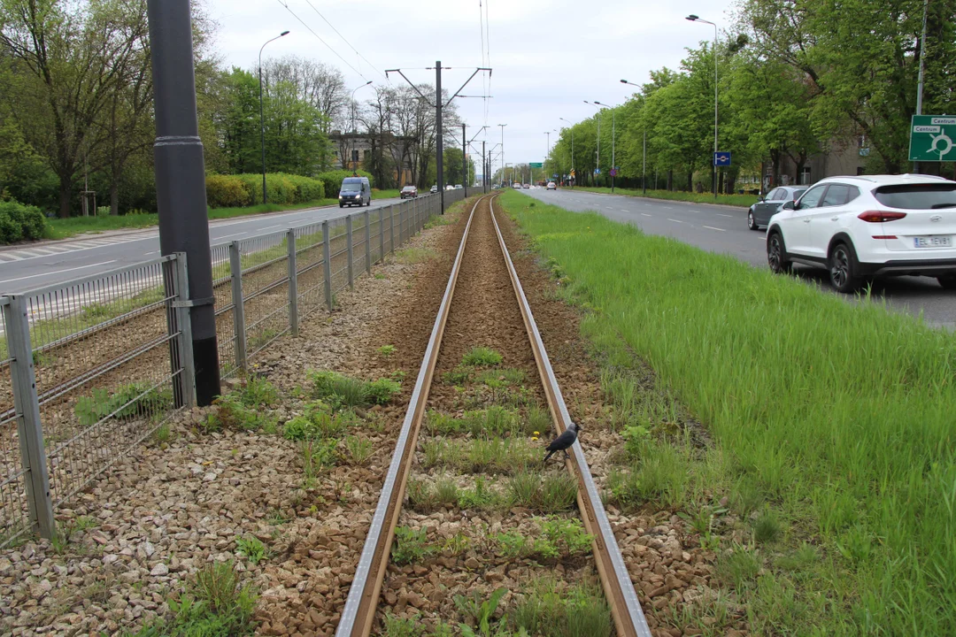 Tramwaje przy Pabianickiej w Łodzi