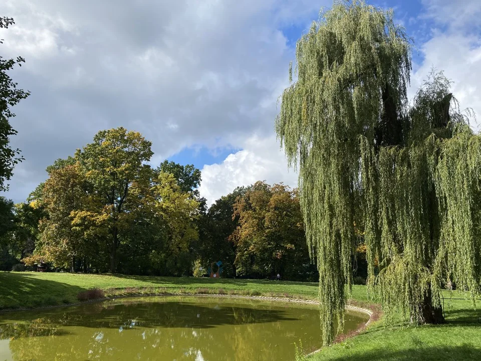 Park Źródliska jesienią