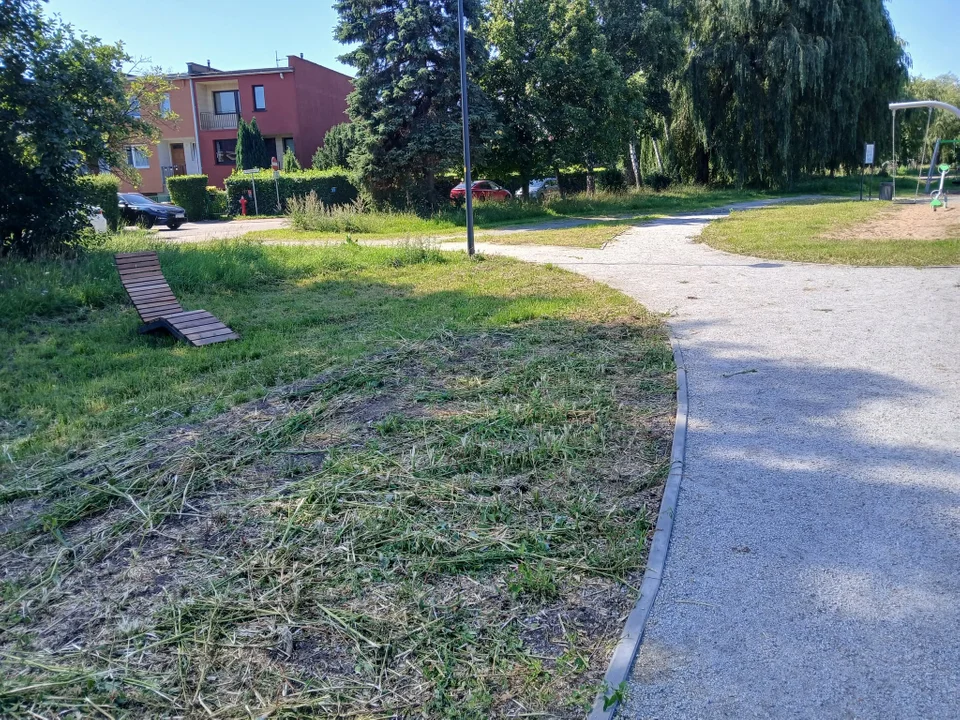 Brzeźno w Gdańsku zmienia się nie do poznania. Ruszyła zielona inwestycja wybrana przez mieszkańców