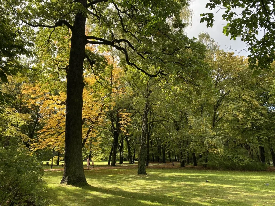 Park Źródliska jesienią