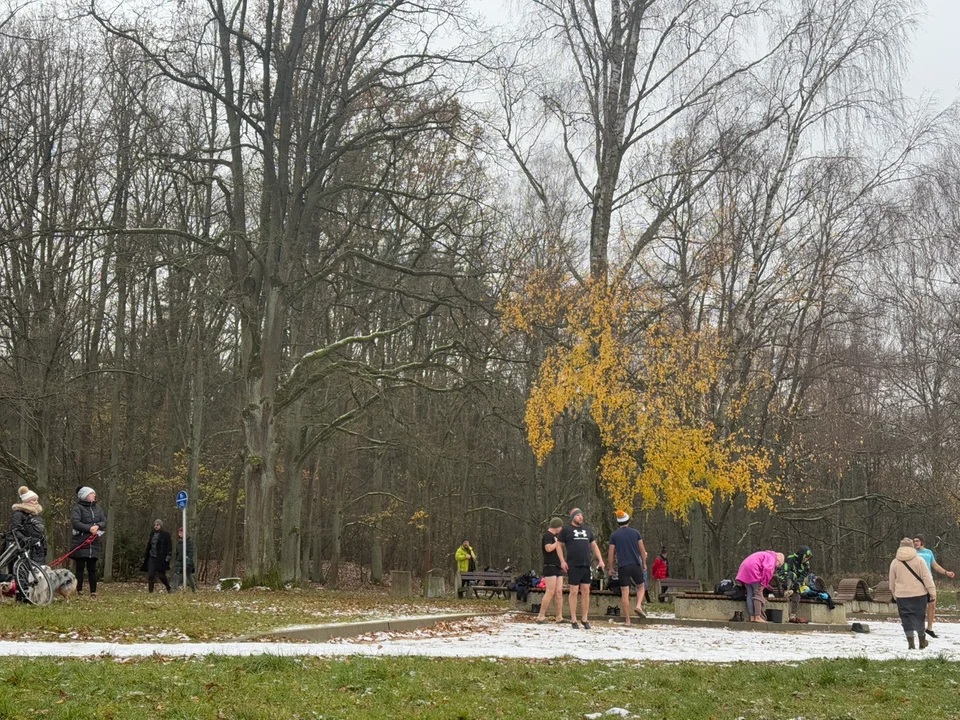 Morsy w Arturówku — Łódź, 24.11.2024 r.