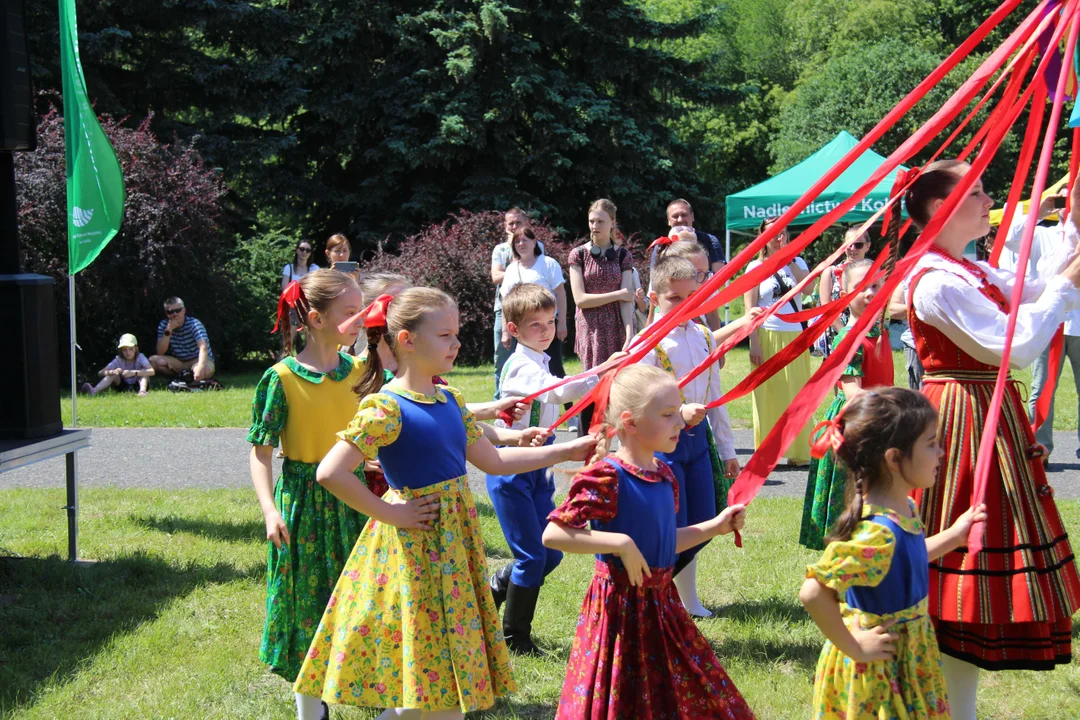 "Majówka w ogrodzie" - Ogród Botaniczny w Łodzi zaprasza na piknik rodzinny