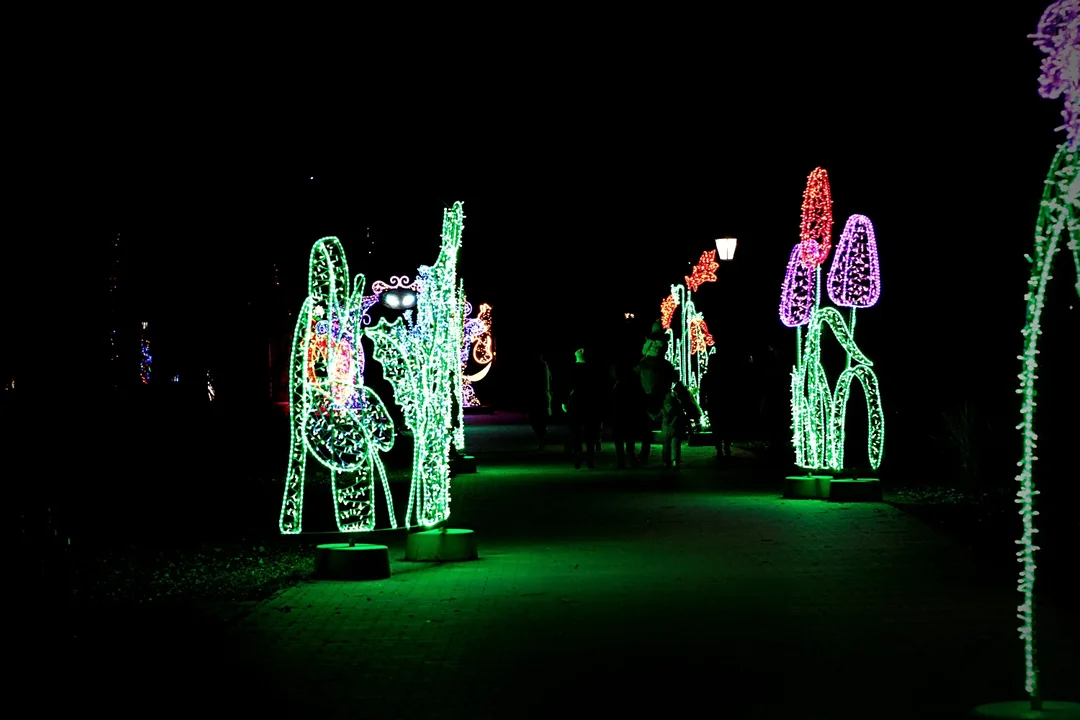 Park Miliona Świateł