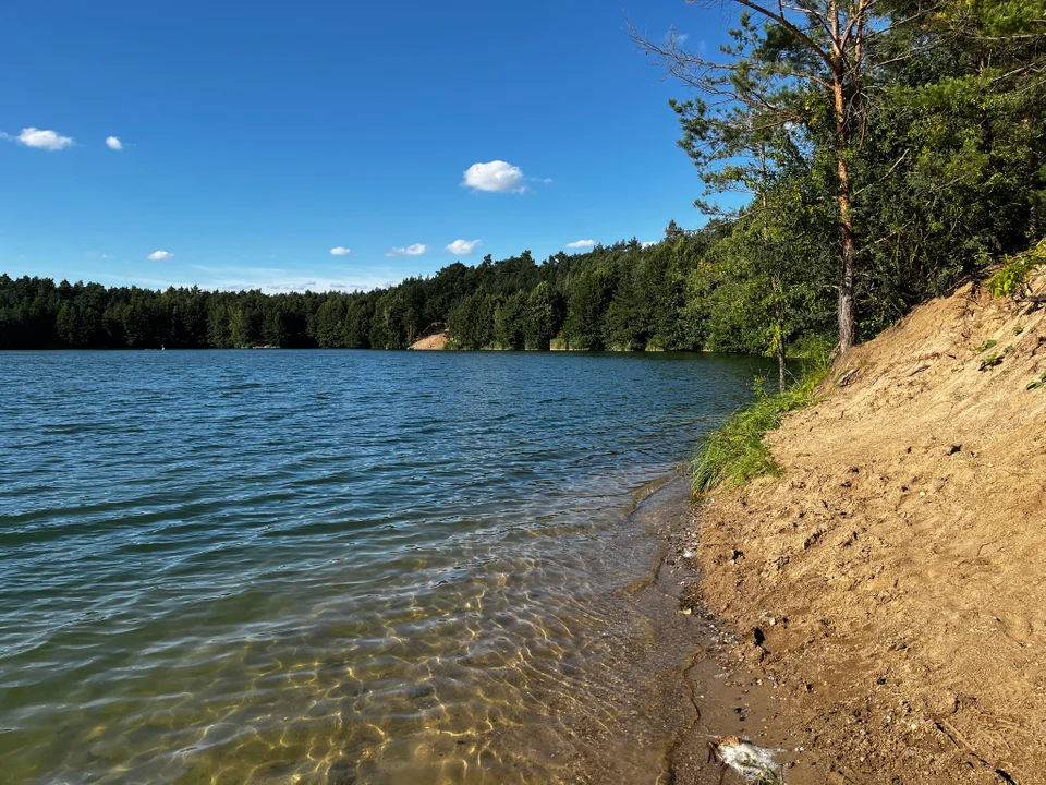 Dzika plaża nad jeziorem Guźnia niedaleko Łowicza. Tu można naprawdę odpocząć! [ZDJĘCIA] - Zdjęcie główne