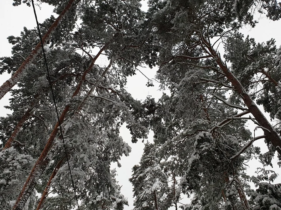 Śnieżna galeria ze Zgierza i Sokolnik-Lasu