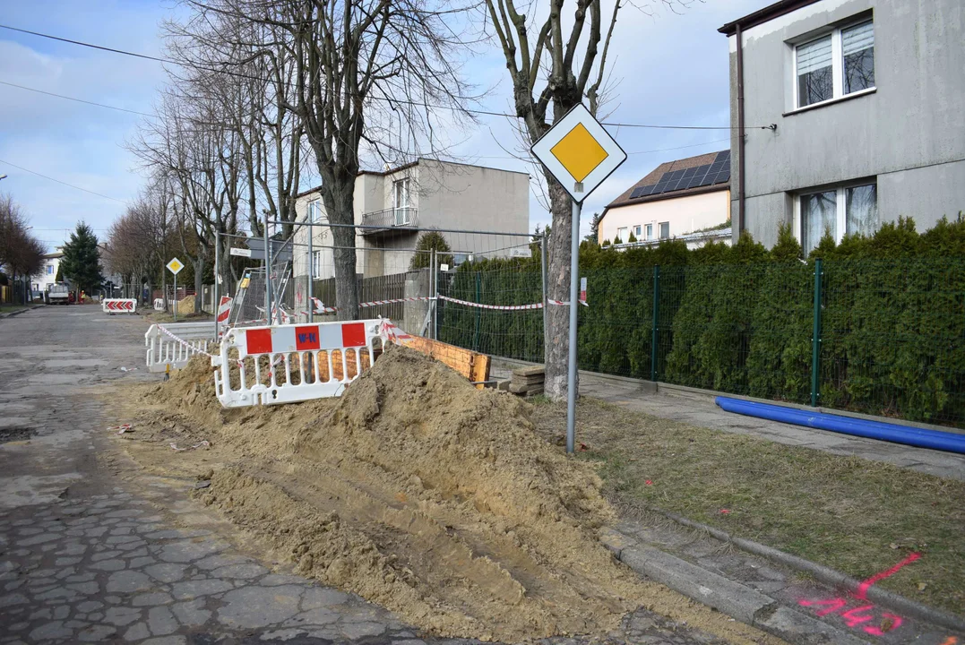 Z ulicy Fijałkowskiego w Zgierzu  znikną drzewa