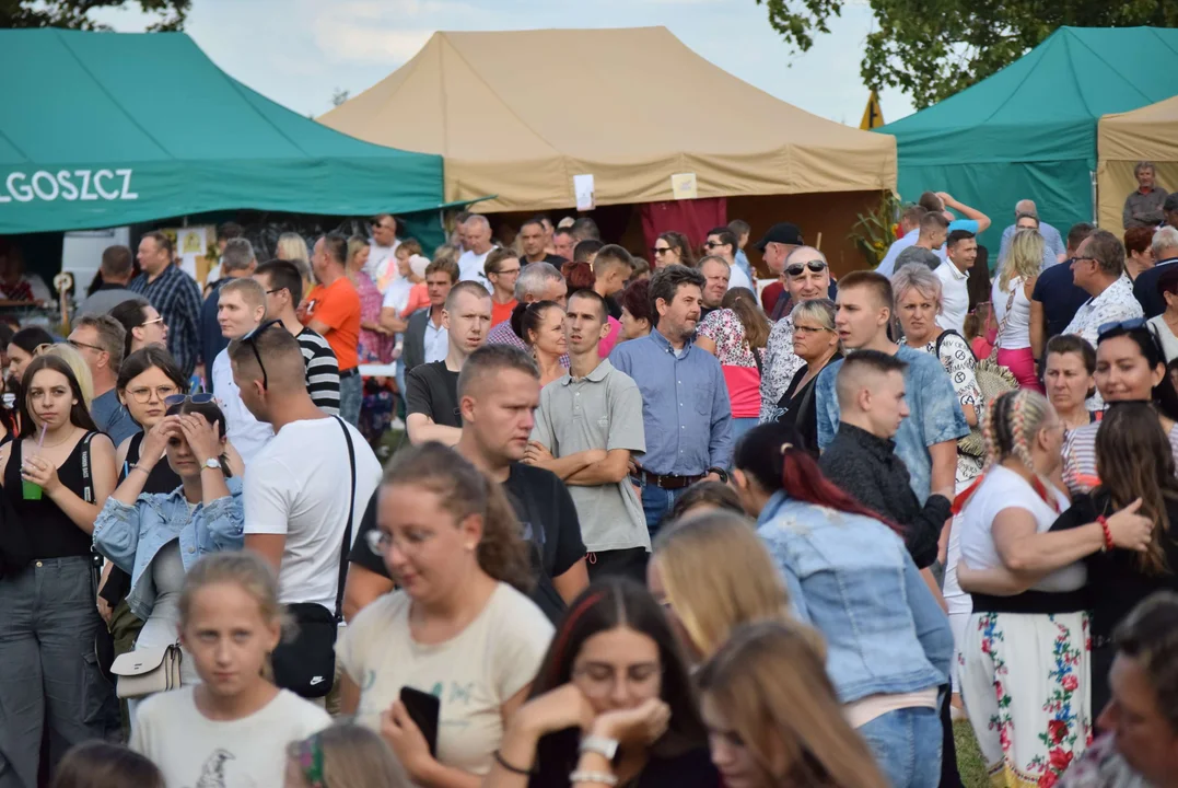 Dożynki gminy Stryków w Warszewicach