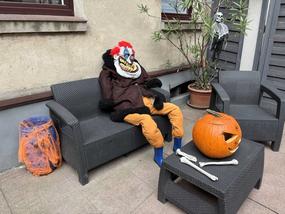 Podwórko przy Wólczańskiej 7 gotowe na Halloween