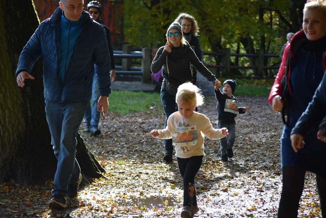 Jesienny Festiwal Szakala