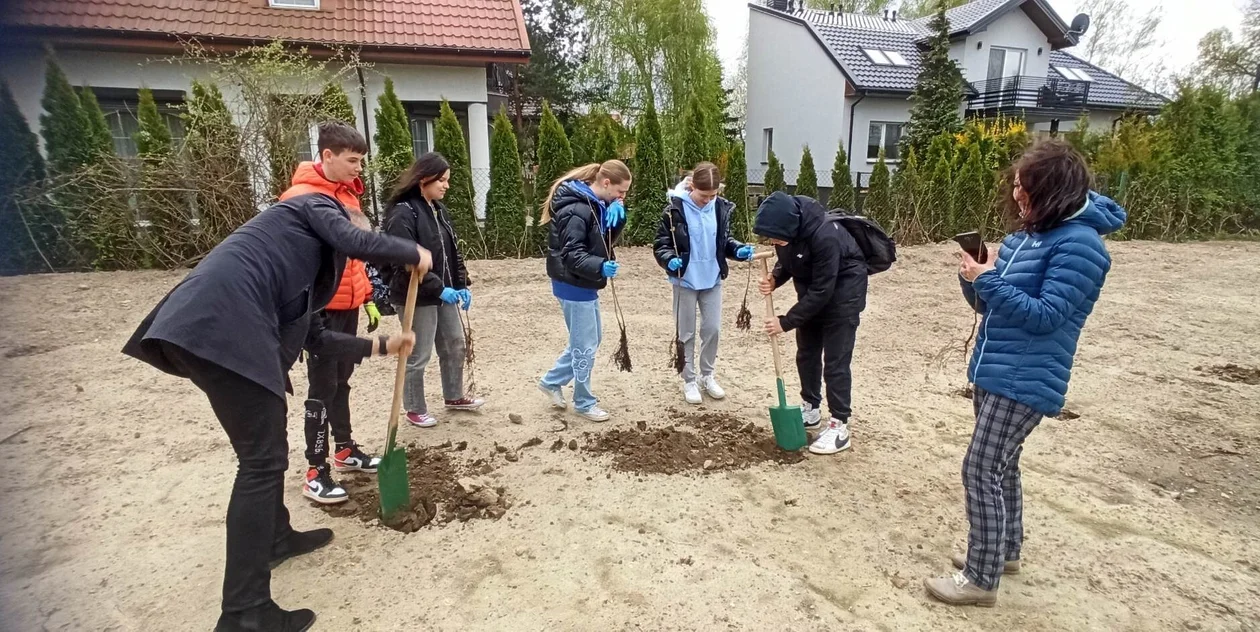 Sadzenie drzewek w Zgierzu