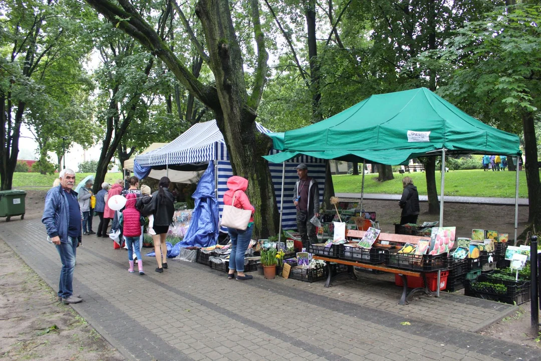 Trwa Święto Róży. Sporo osób odwiedza park Traugutta