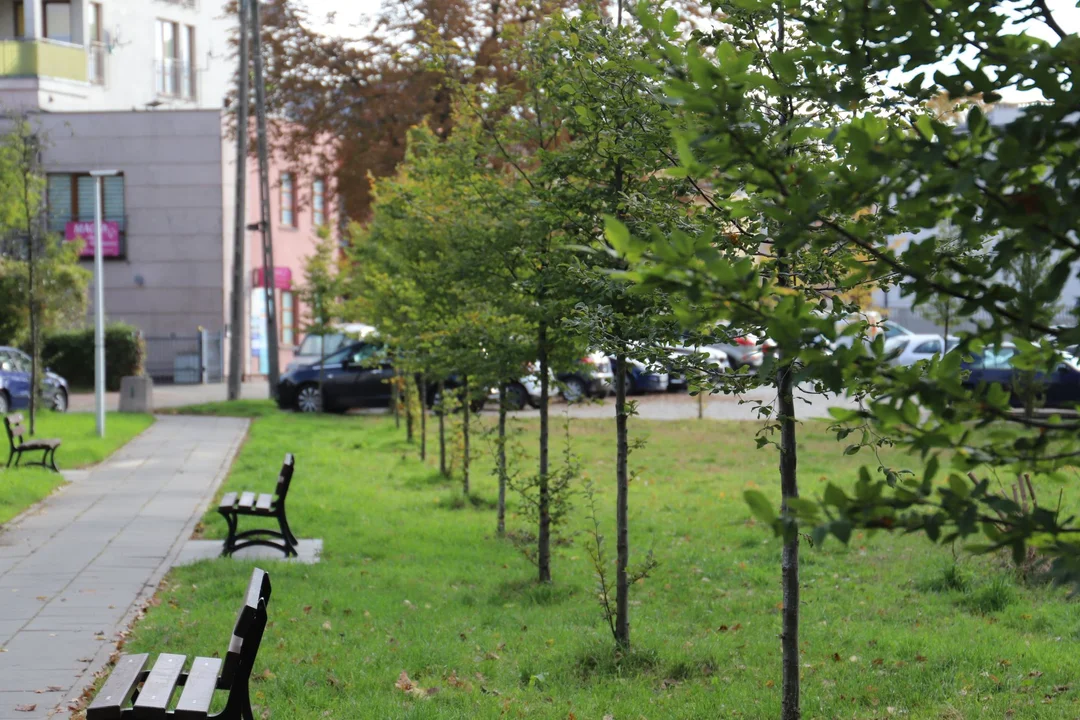 W centrum Kutna powstaje mały park rekreacyjn-wypoczynkowy