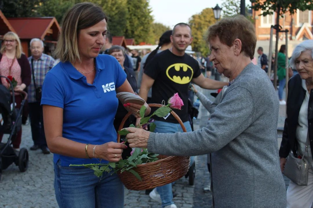 KCI rozdaje róże i gazety na kutnowskim Święcie Róży