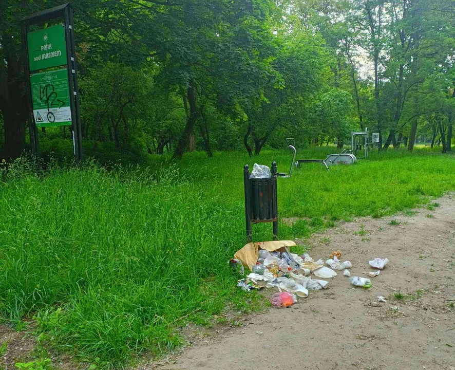 Park na Górnej wygląda coraz gorzej. Spacerowiczów odstraszają śmieci i połamane ławki [FOTO] - Zdjęcie główne