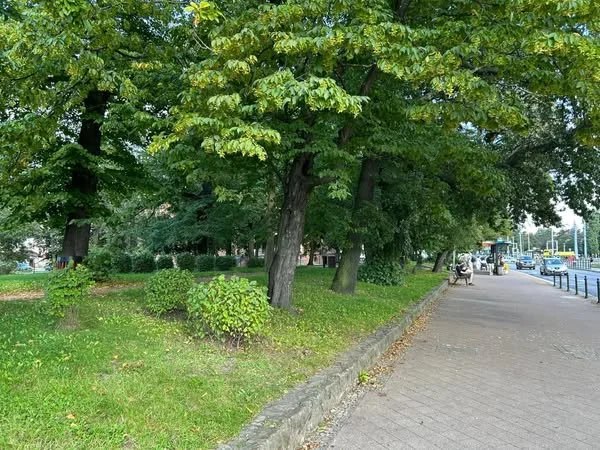 Skwer Niemena czeka na metamorfozę