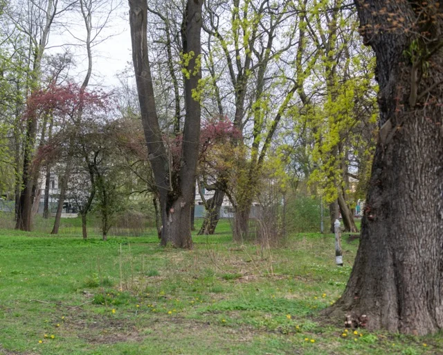 Rzeka Lamus popłynie przez park Kilińskiego