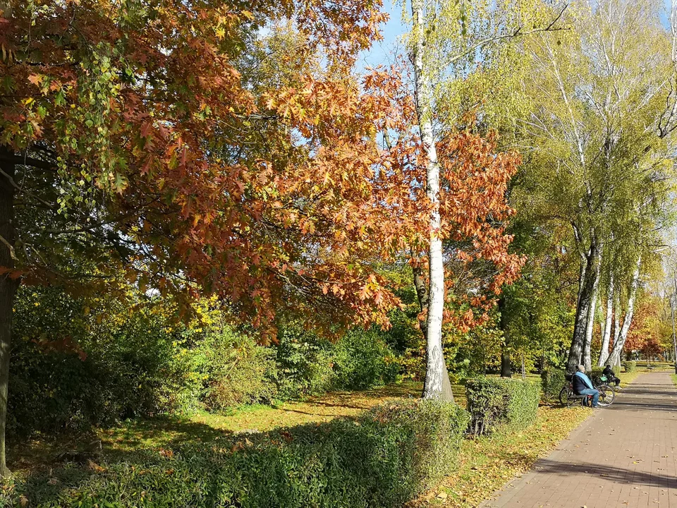 Zgierzanie korzystają z pięknej jesiennej pogody