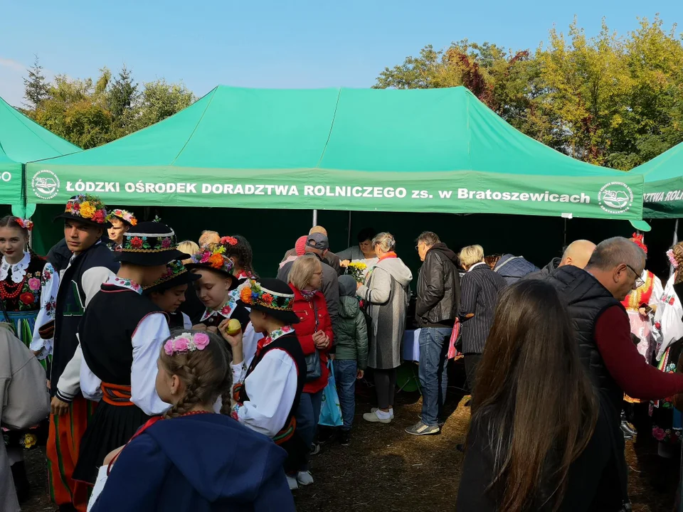 Łodzianie i mieszkańcy okolic na ryneczku marszałkowskim przy Drewnowskiej w Łodzi