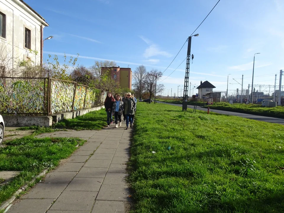 TPZK i licealiści posadzili Ogród Żonkila Pamięci o Holokauście