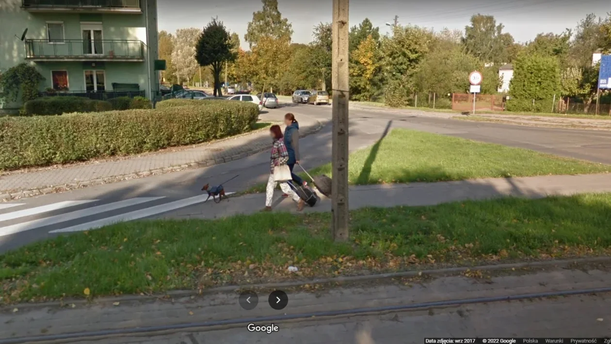 Zgierzanie obiektywie Google Street View