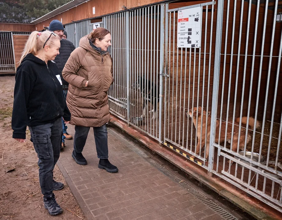 Trzy tony prezentów dla schronisk w Łódzkiem, 27.12.2024 r.