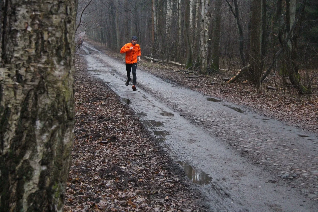 Walentynkowy parkrun w Lesie Łagiewnickim