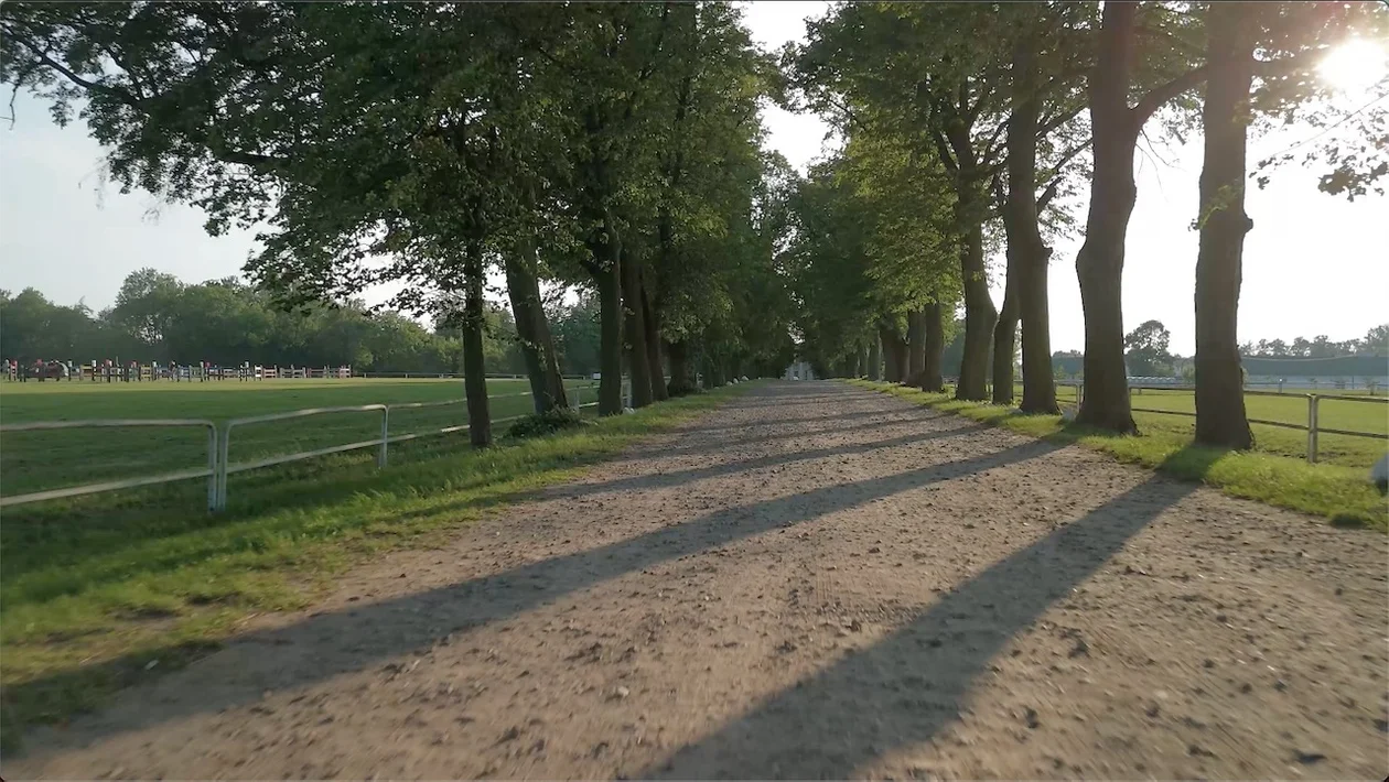 Droga dojazdowa do pałacu w Walewicach