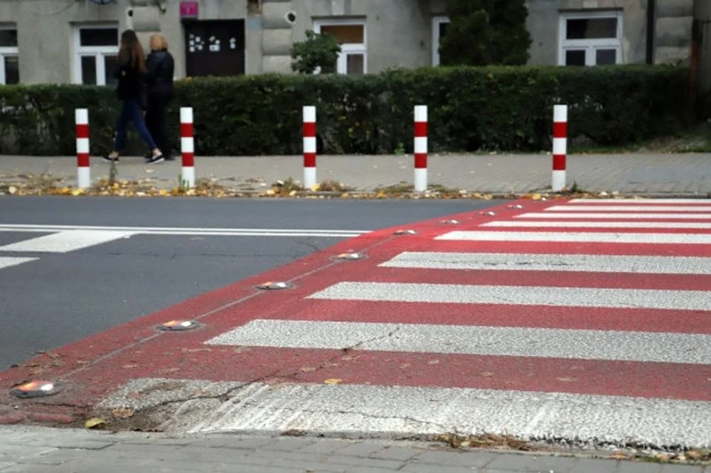 Nowość na przejściach dla pieszych w Kutnie. To element ogólnopolskiej akcji! [ZDJĘCIA] - Zdjęcie główne