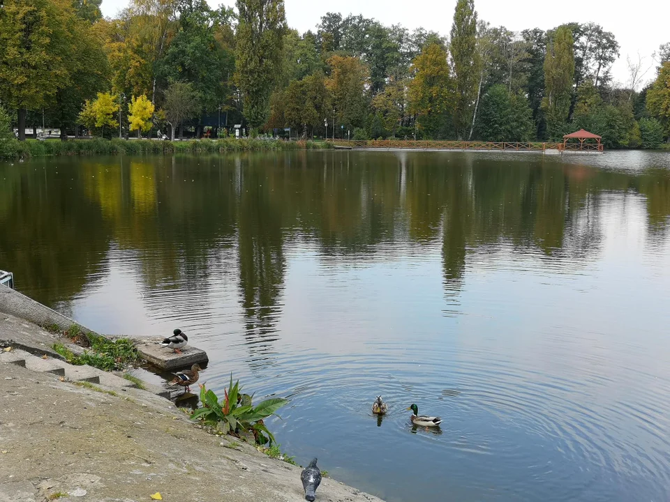 Pierwsze oznaki jesieni w zgierskim parku - zobacz zdjęcia!