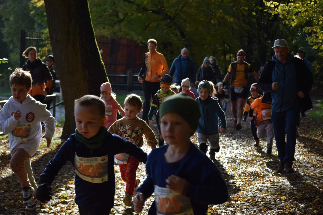 Jesienny Festiwal Szakala