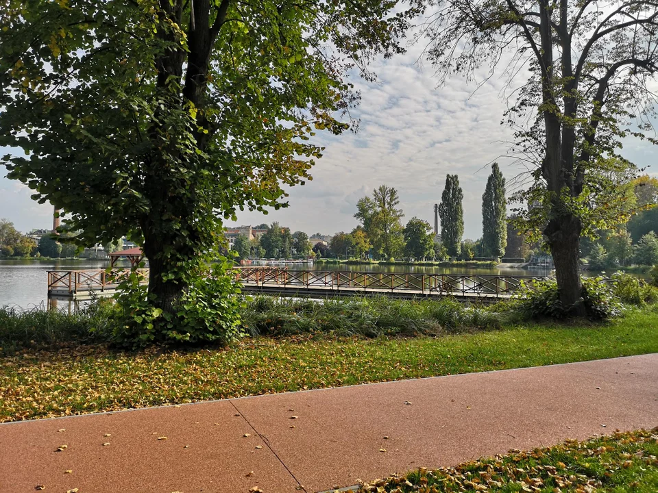 Pierwsze oznaki jesieni w zgierskim parku - zobacz zdjęcia!