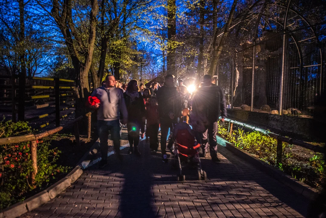 Zoo po zmroku w Płocku 21.04.2023