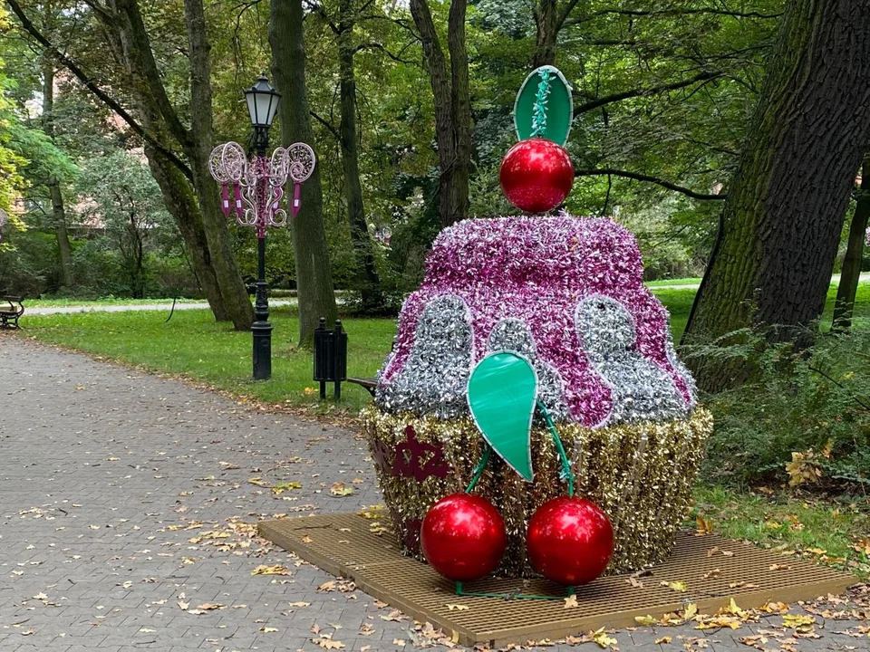 Do Parku Źródliska wraca iluminacja. Widmo podwyżek cen energii nie zniechęca władz - Zdjęcie główne