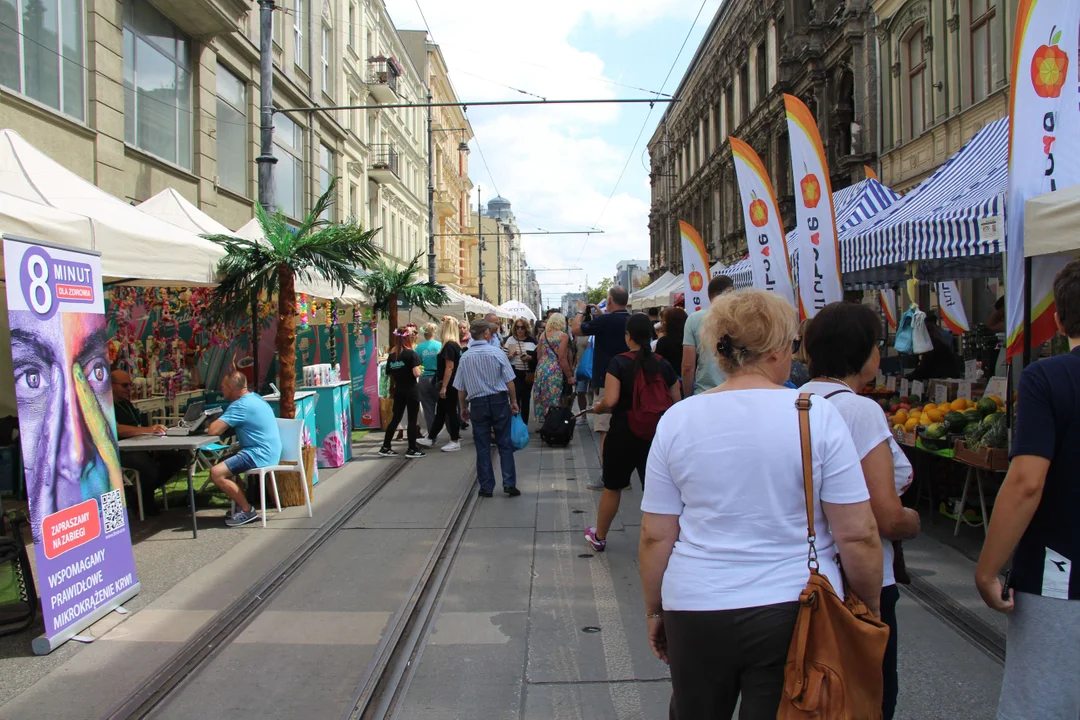 Strefa sportu i natury z okazji 600. urodzin Łodzi