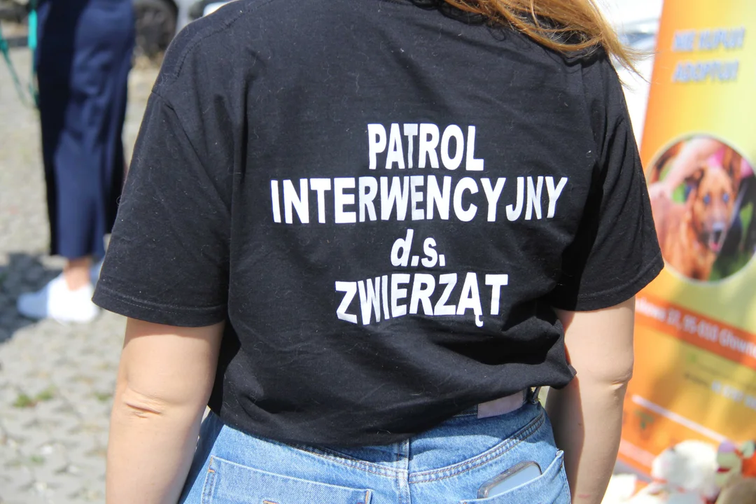 Animal Patrol świętuje swoje 8. urodziny