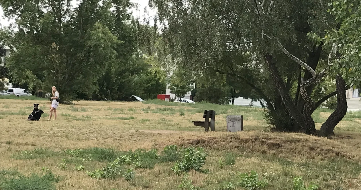 Powstanie ogród różany, flow park, psi wybieg, polana do imprez. Coś nowego na Podolszycach Południe [ZDJĘCIA] - Zdjęcie główne