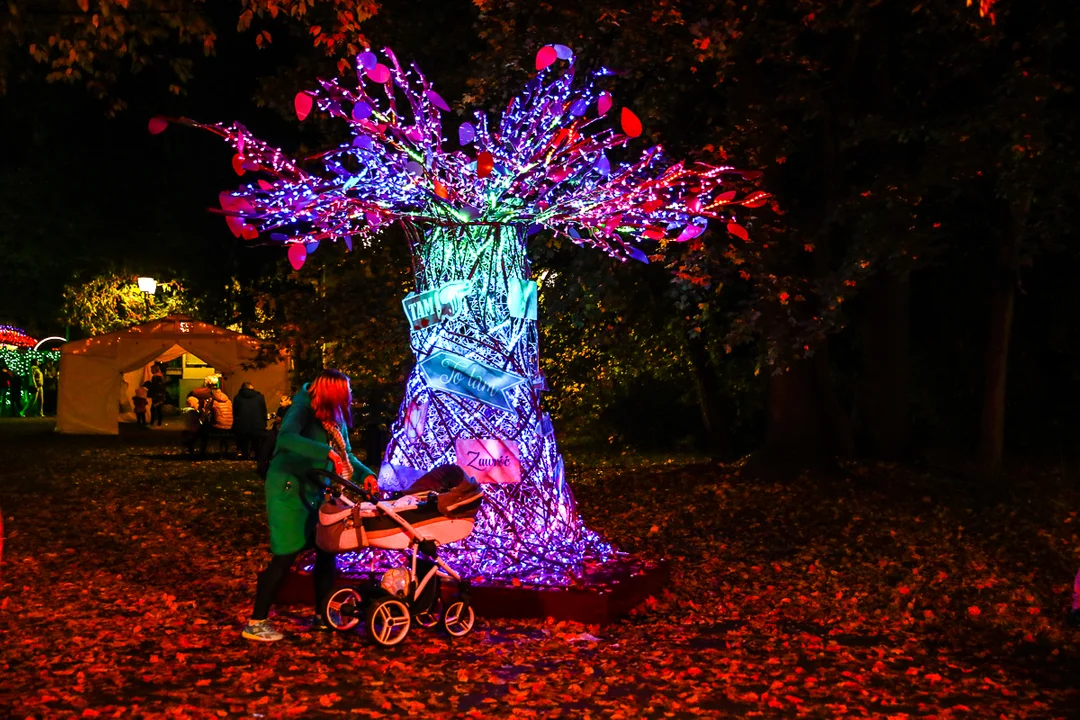 Park Miliona Świateł znów dostępny dla odwiedzających