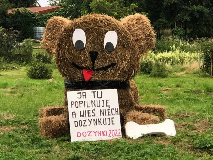 Dożynkowe witacze w powiecie bełchatowskim. Który najciekawszy? [FOTO]