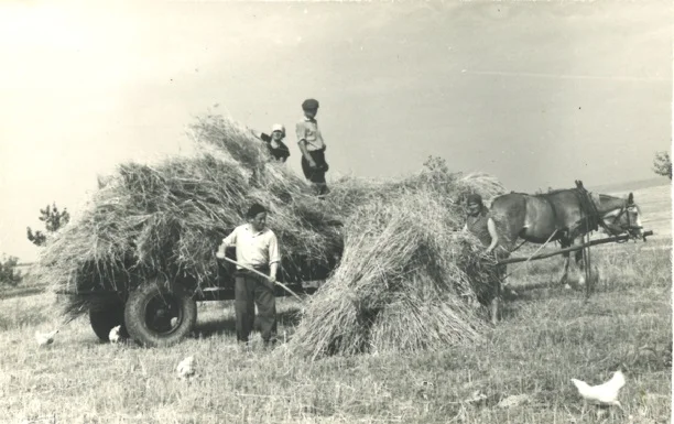 Święto plonów. Historycznym okiem na dożynki i zbiory w gminie Zgierz [GALERIA] - Zdjęcie główne