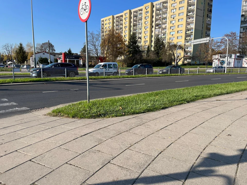 Kierujący pojazdami zawsze muszą ustąpić pierwszeństwa pieszym. Co na to łodzianie?