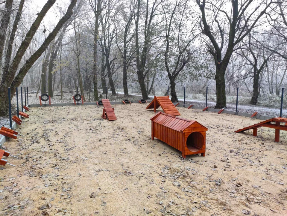 W Łęczycy powstaje psi park. Władze miasta apelują do mieszkańców [FOTO] - Zdjęcie główne