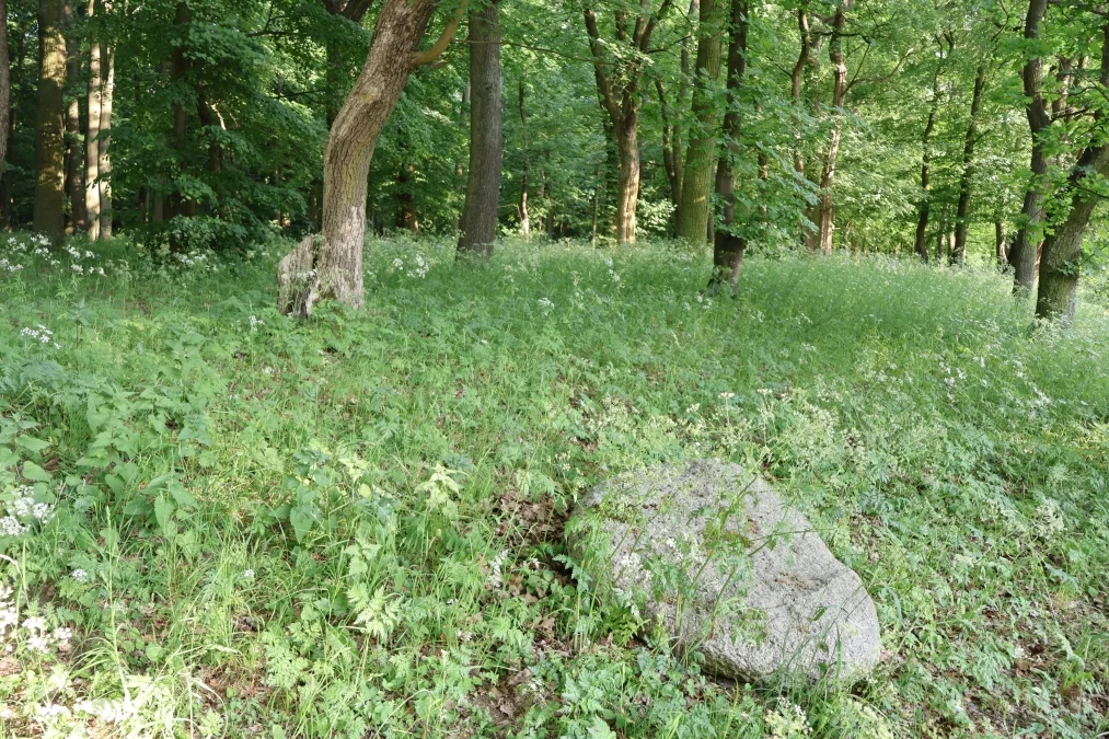 Park Wiosny Ludów