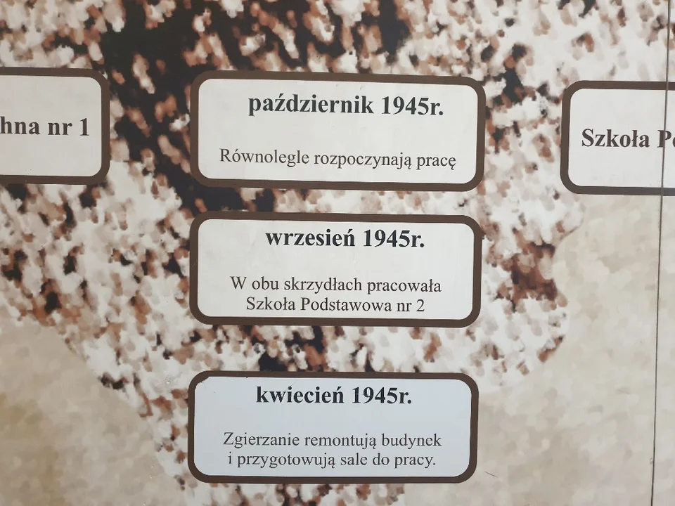 Dzień otwarty w Samorządowym Liceum Ogólnokształcących. Jaka jest oferta tej szkoły? [zdjęcia]