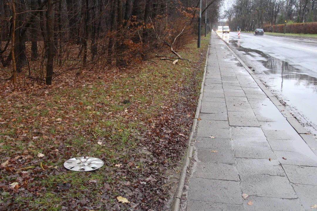 Ulica Krakowska w Łodzi po przebudowie