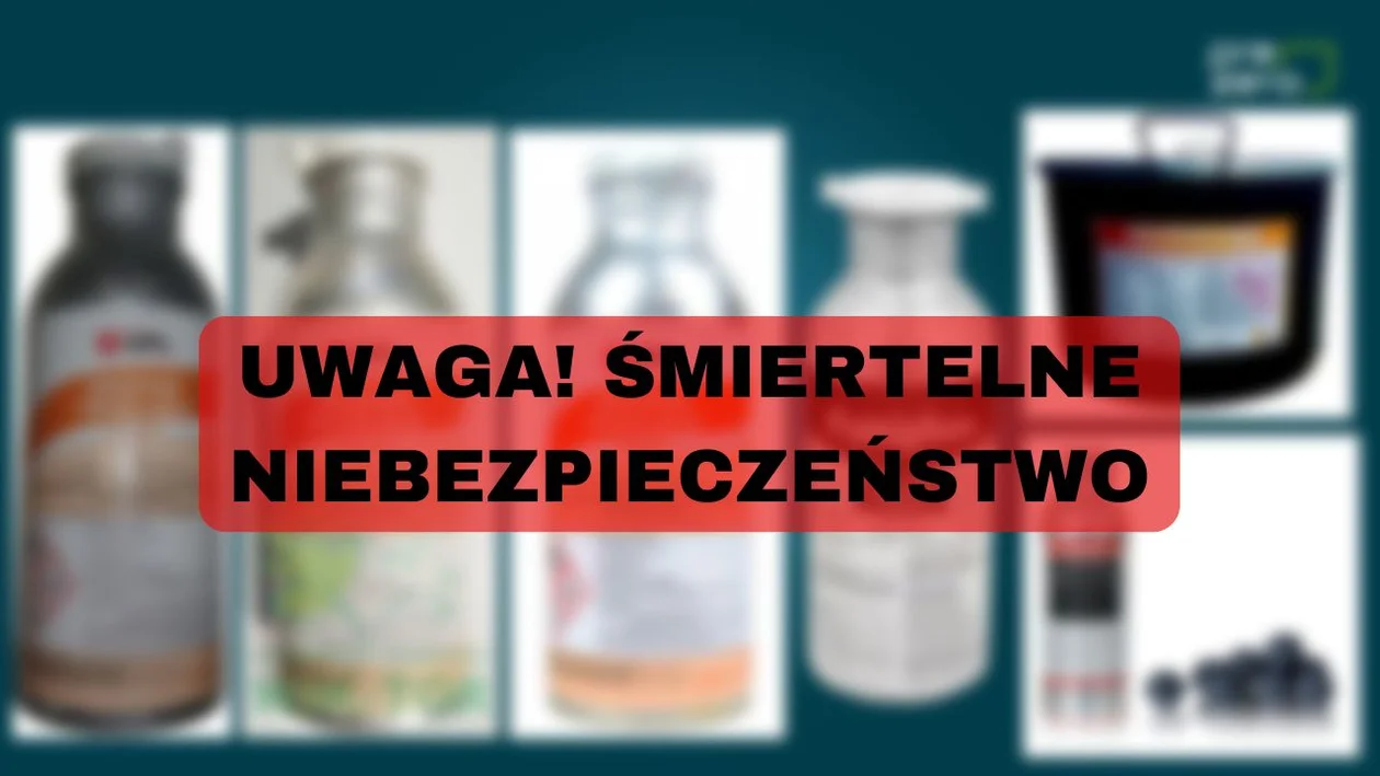 Śmiertelne zatrucia, ofiarami dzieci. Inspektorat i urzędy alarmują mieszkańców - Zdjęcie główne