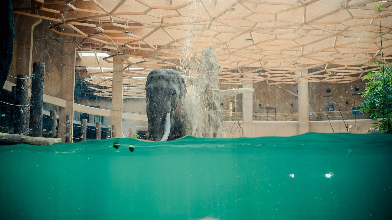 Orientarium ZOO Łódź